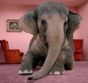 elephant-in-room-jpg